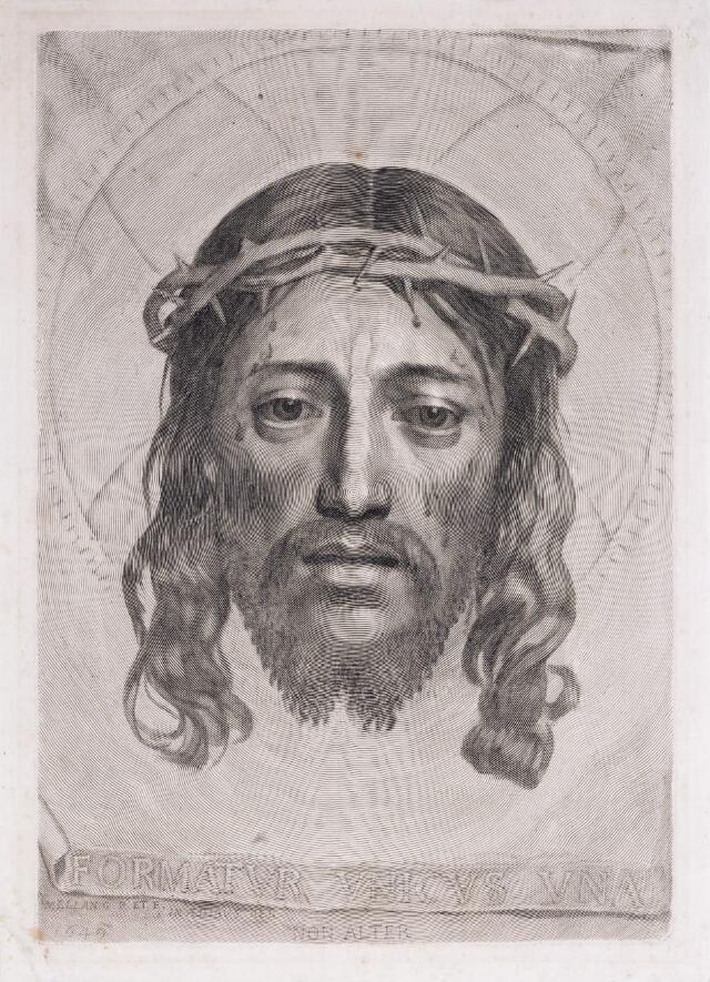 madalena-corvina-pitrice-hammer-collections