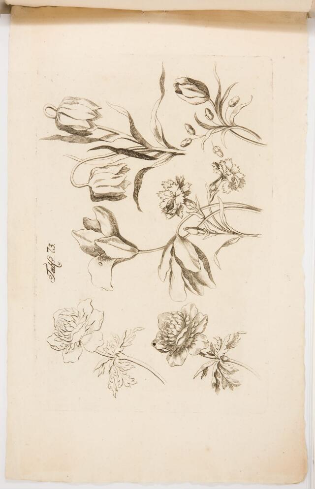 Untitled Drawing Untitled (Drawing book) | Hammer Collections